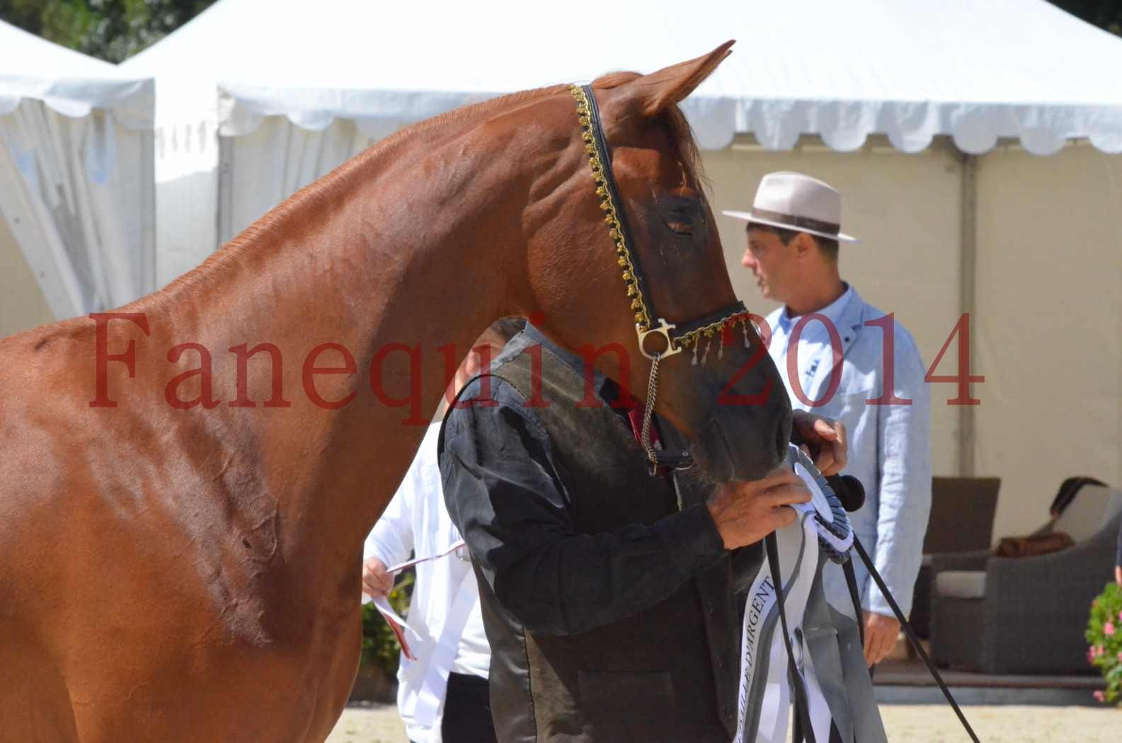 Championnat de FRANCE 2014 - Amateurs - SH CALLAS BINT ARMANI - 57