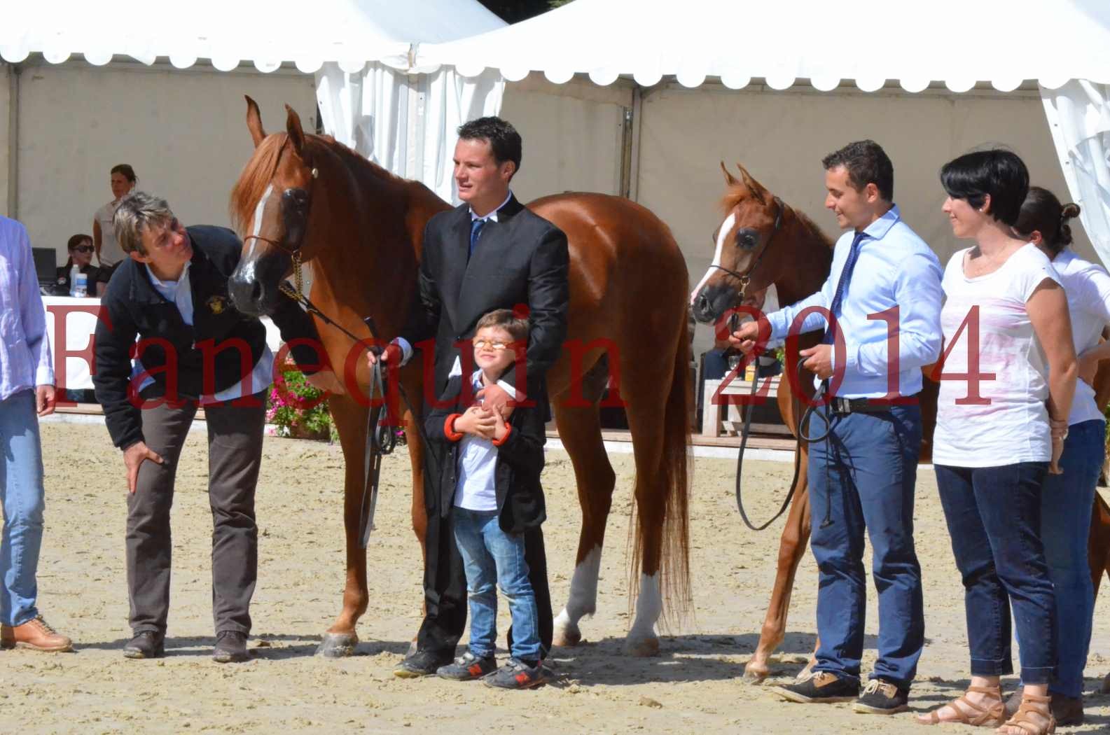 ﻿CHAMPIONNAT DE FRANCE 2014 A POMPADOUR - Sélection - KINSHASA JA - 75