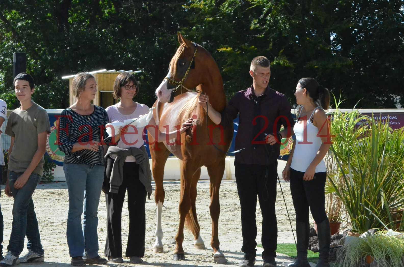 Championnat de FRANCE 2014 - Amateurs - SELECTO IBN SAMAWI - 087