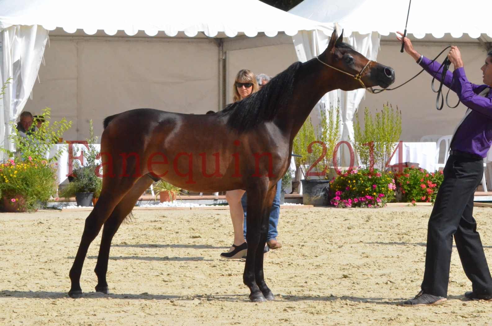 Championnat de FRANCE 2014 - Amateurs - SH FARAJAA - 38