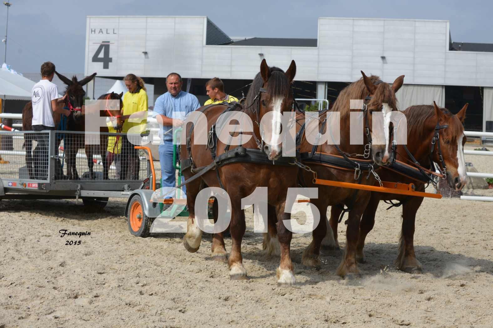 Salon Equitaine de Bordeaux 2015 - Démonstration d'attelage à 3 chevaux de front - 