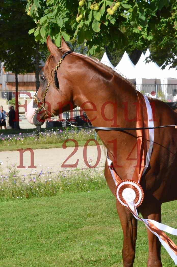 Championnat de FRANCE 2014 - Amateurs - SELECTO IBN SAMAWI - 197