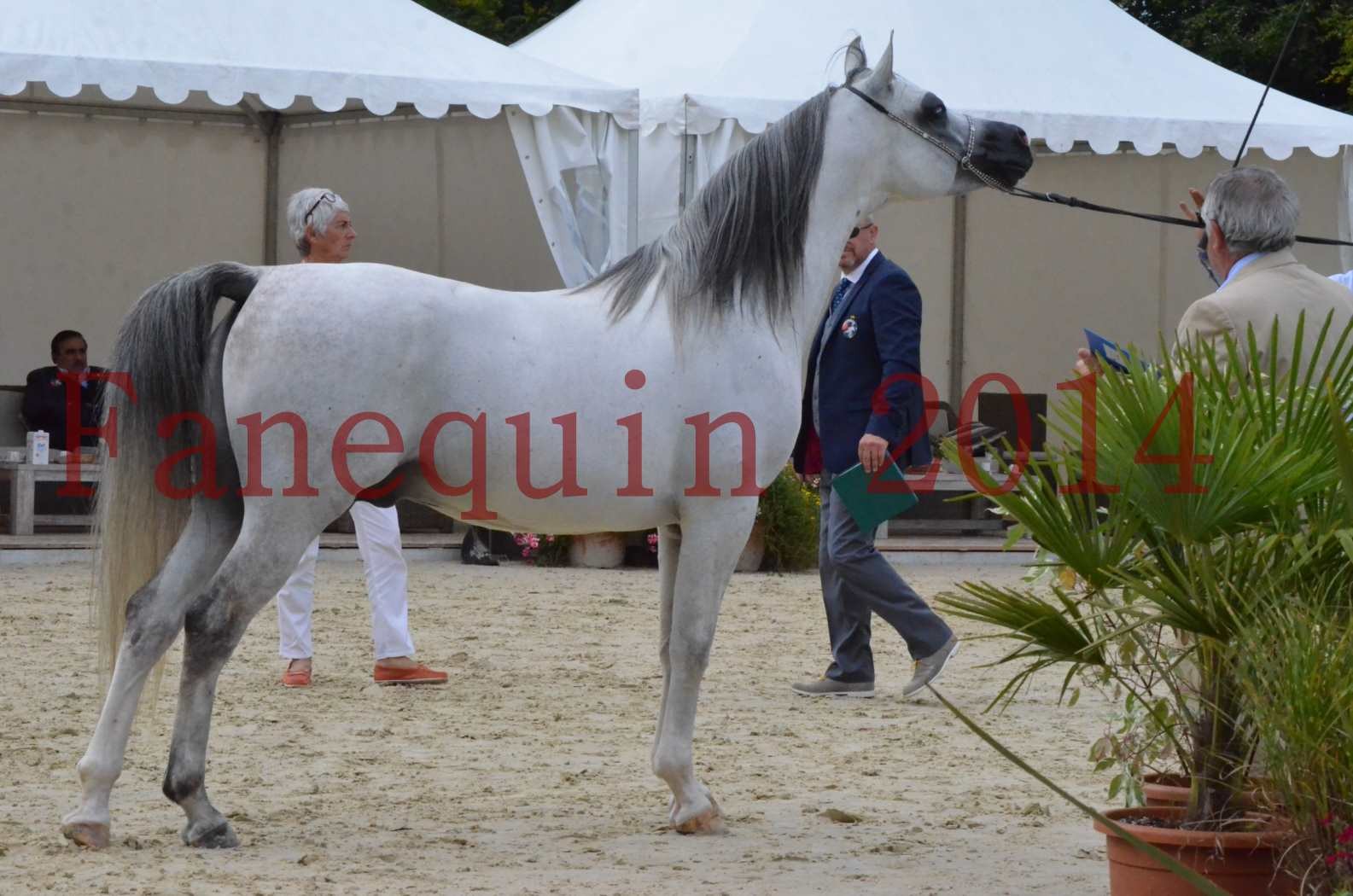 CHAMPIONNAT DE FRANCE  2014 A POMPADOUR - Championnat - SHAOLIN DE NEDJAIA - 23