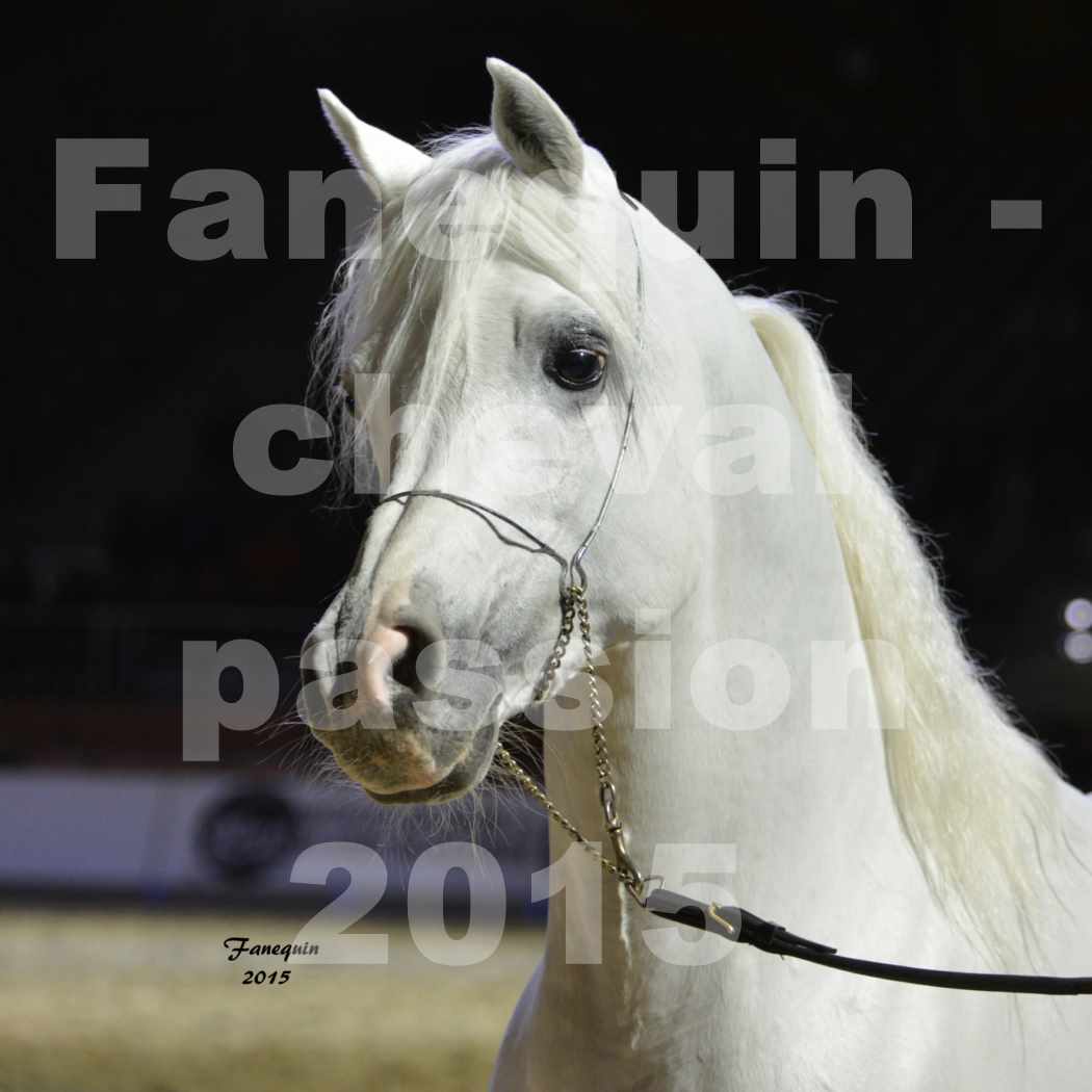 Elevage de GACIA - Elevage de Chevaux ARABES - ESTA ESPLANAN