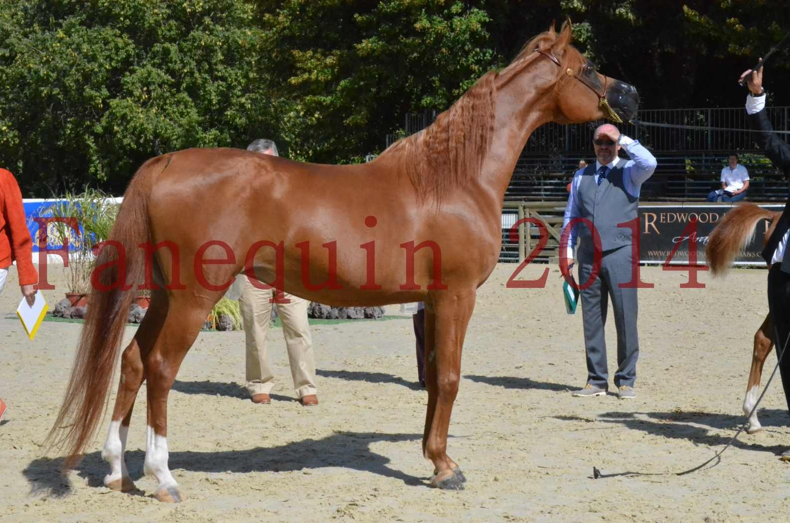 ﻿CHAMPIONNAT DE FRANCE 2014 A POMPADOUR - Sélection - KINSHASA JA - 55