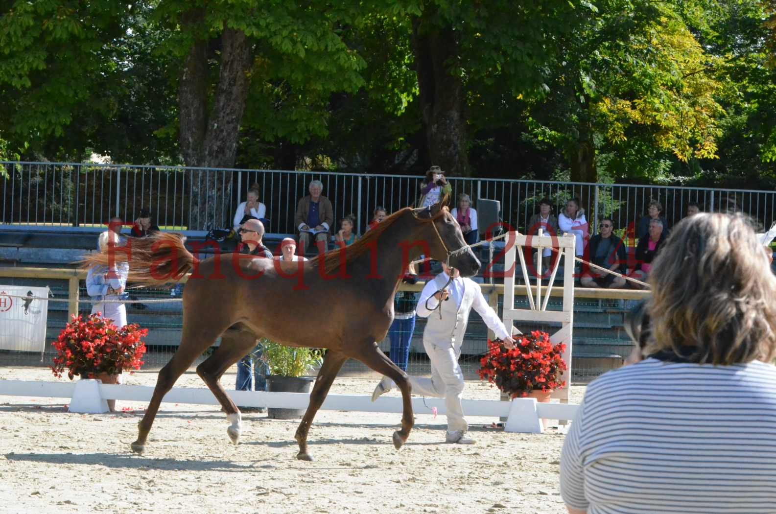 Championnat de FRANCE 2014 - Amateurs - LAMAL - 06