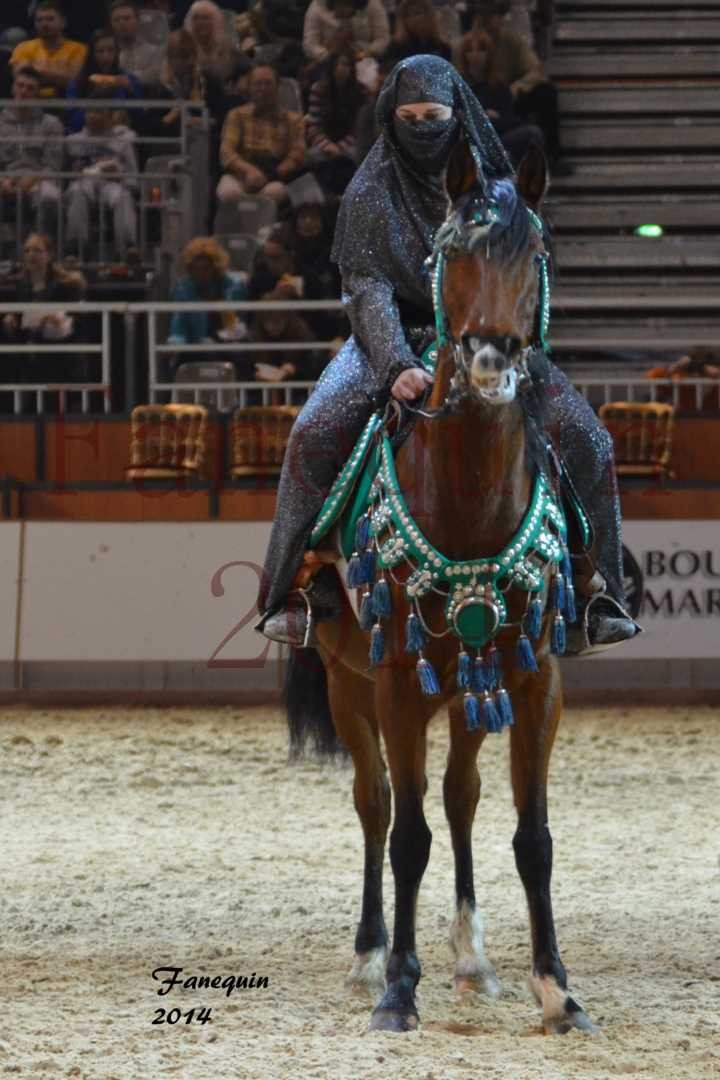 Show des races - Chevaux BARBE 07