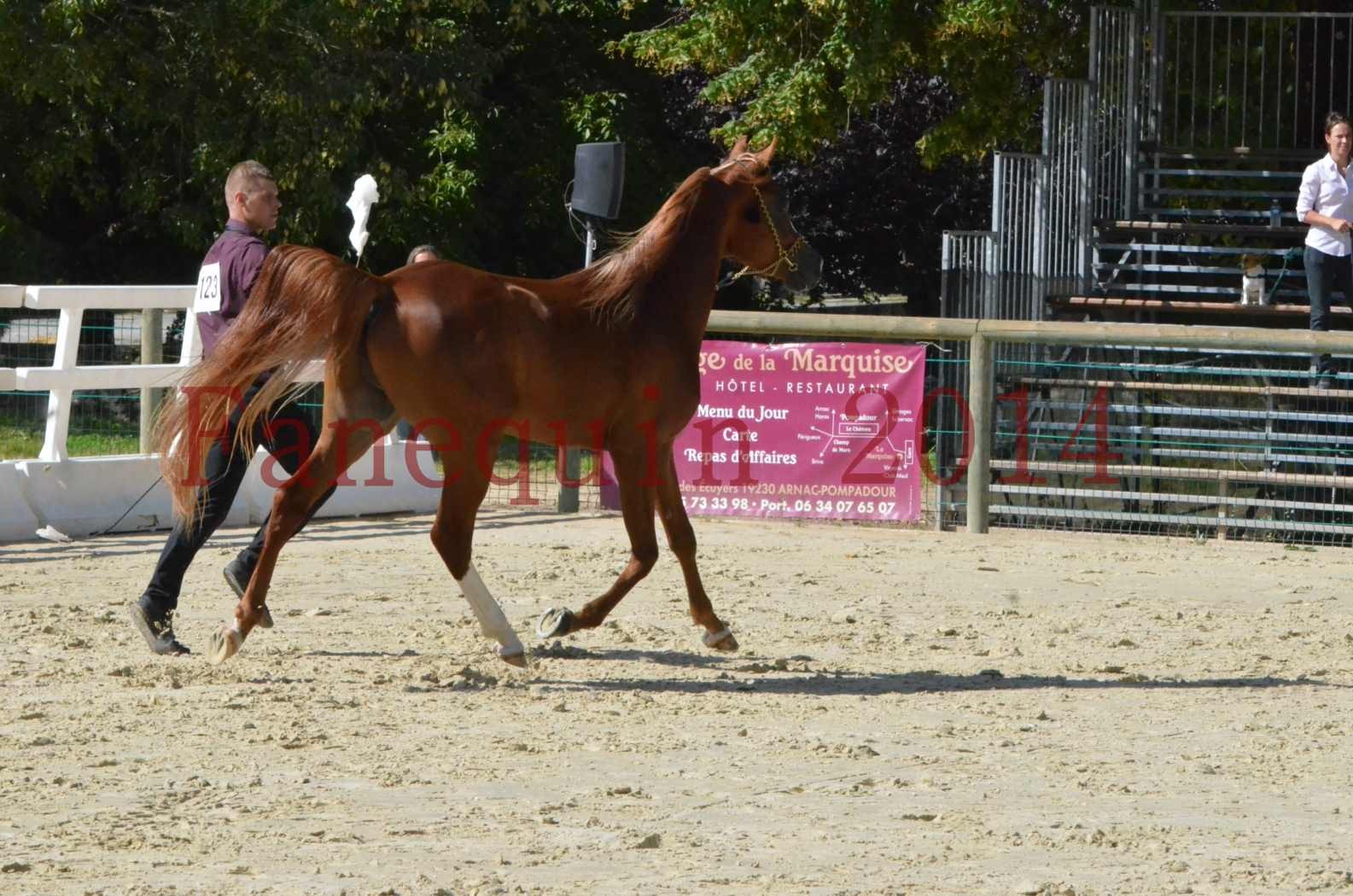 Championnat de FRANCE 2014 - Amateurs - SELECTO IBN SAMAWI - 016