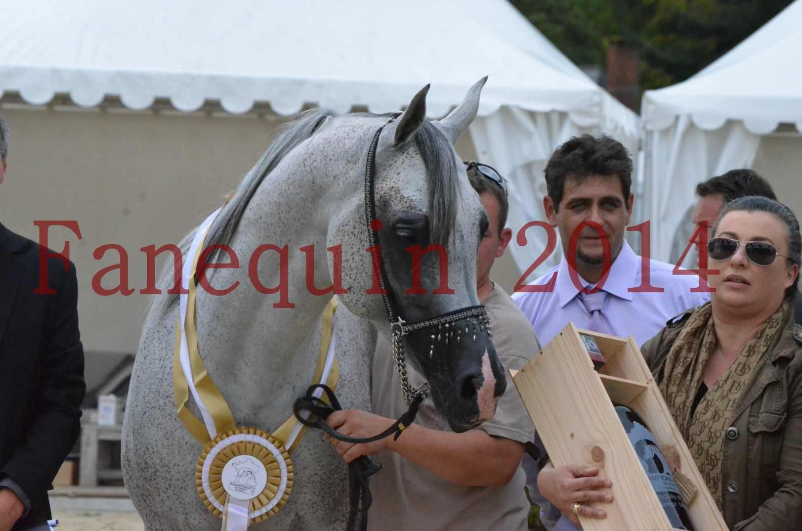 CHAMPIONNAT DE FRANCE  2014 A POMPADOUR - Championnat - SHEYK DE GARGASSAN - 25