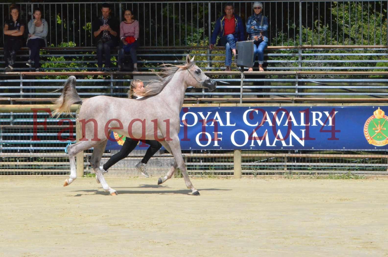 Championnat de FRANCE 2014 - Amateurs - SANA ISHANE - 01