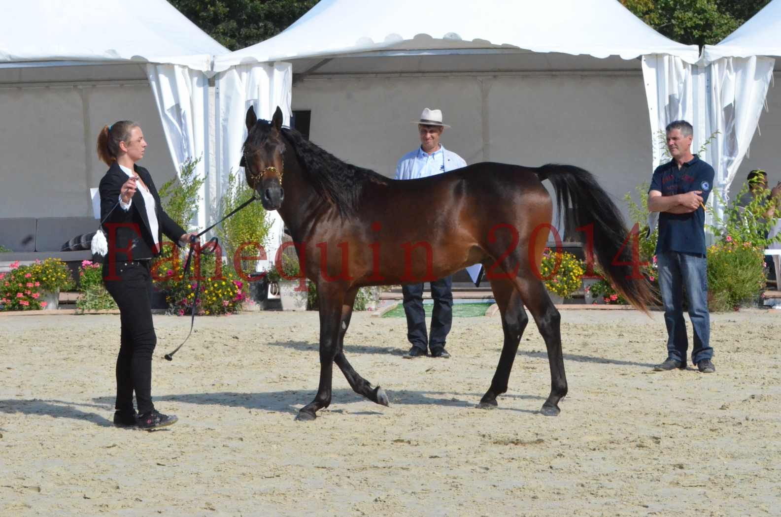 Championnat de FRANCE 2014 - Amateurs - JA KHALEB - 38