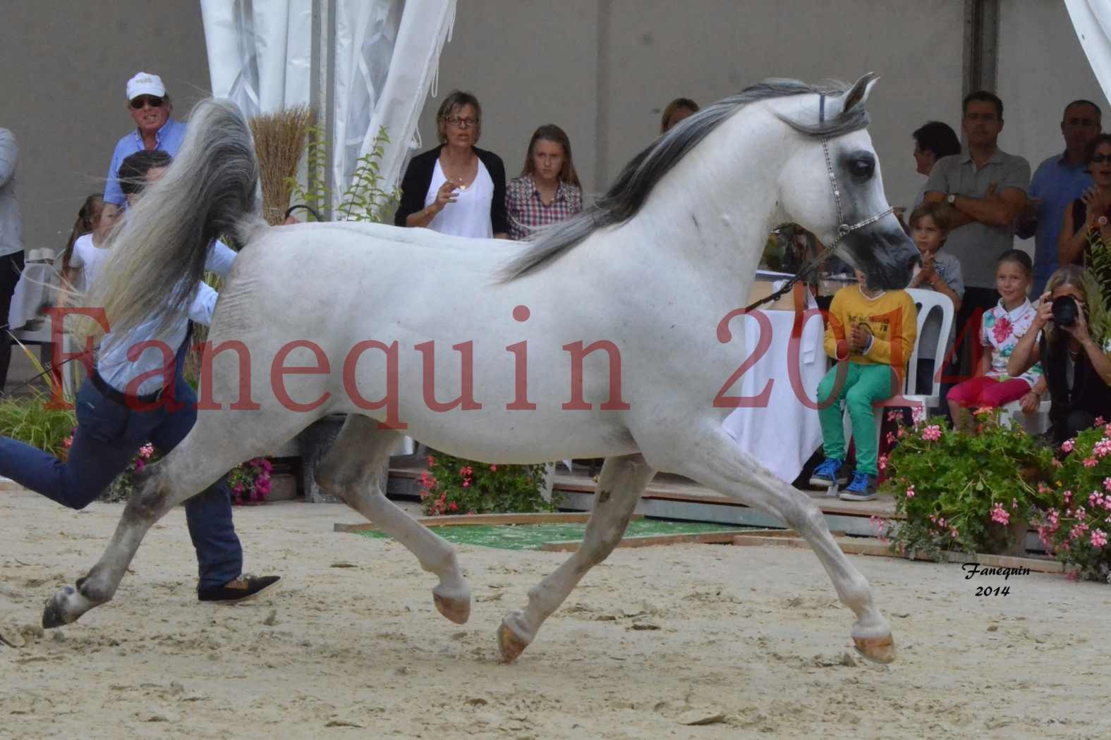 CHAMPIONNAT DE FRANCE  2014 A POMPADOUR - Notre Sélection - SHAOLIN DE NEDJAIA - 19