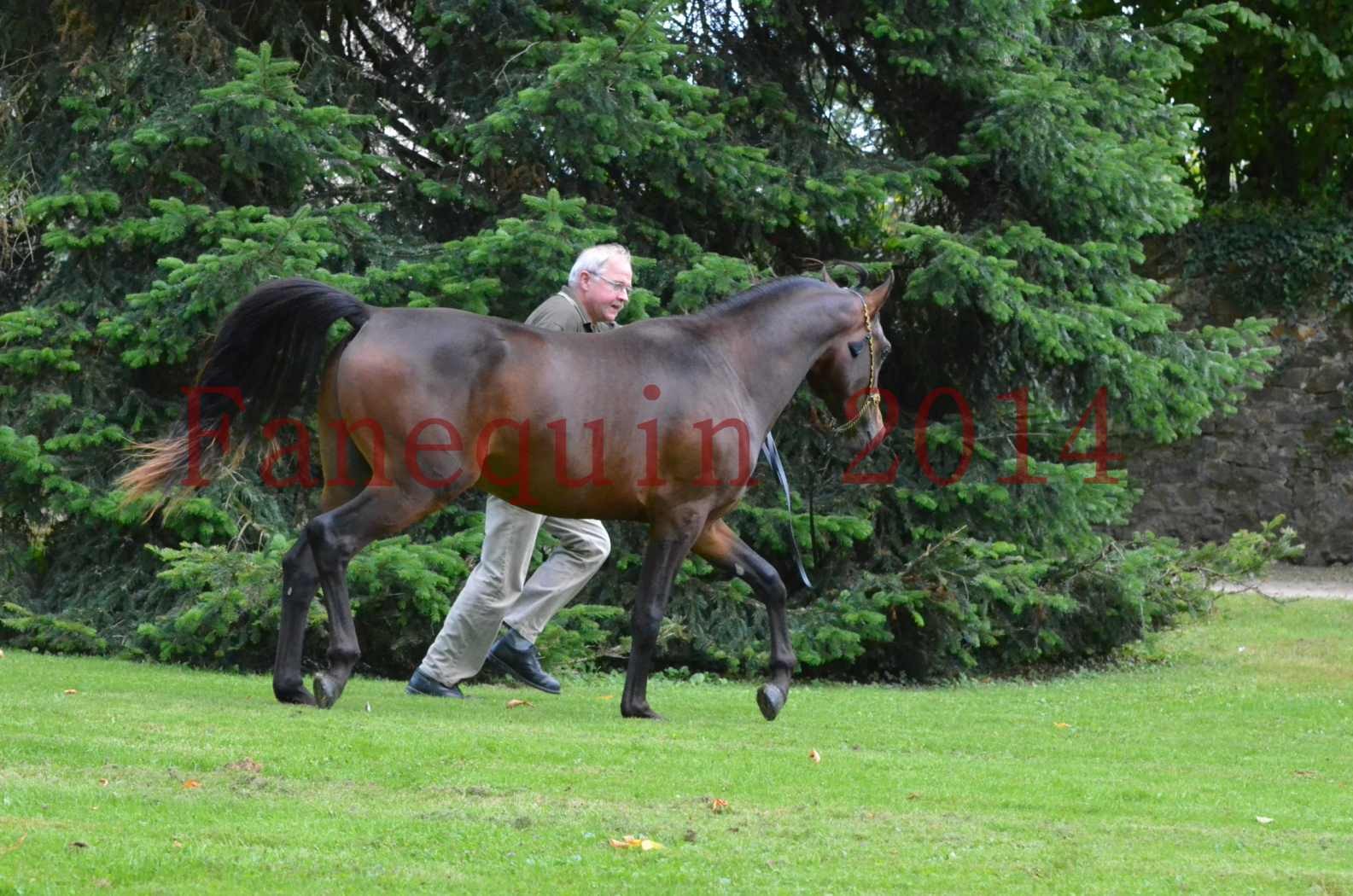 Championnat de FRANCE 2014 - Amateurs - JA KHALEB - 89