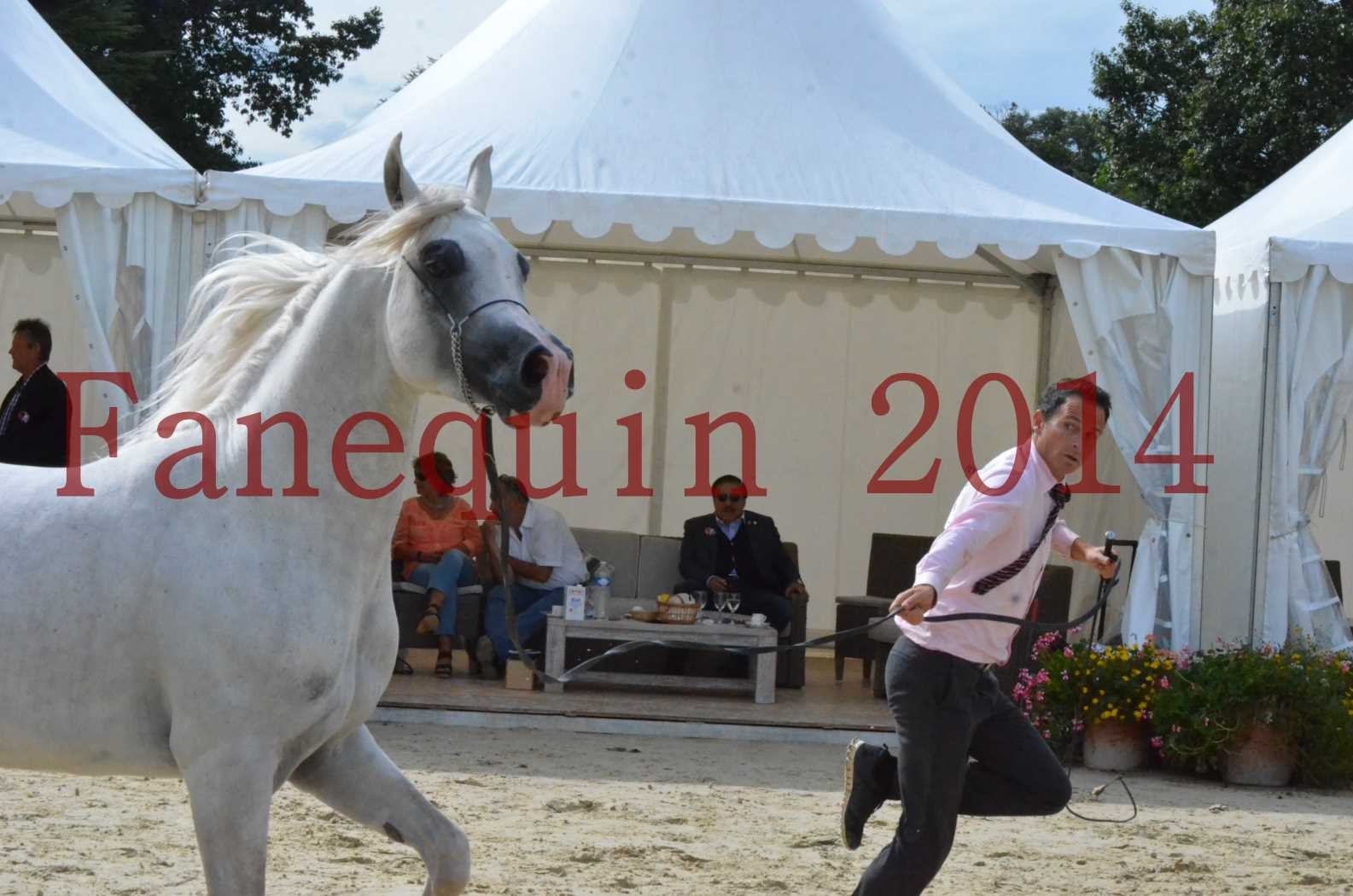 CHAMPIONNAT DE FRANCE 2014 A POMPADOUR - Championnat - FA STARLIGHT - 01