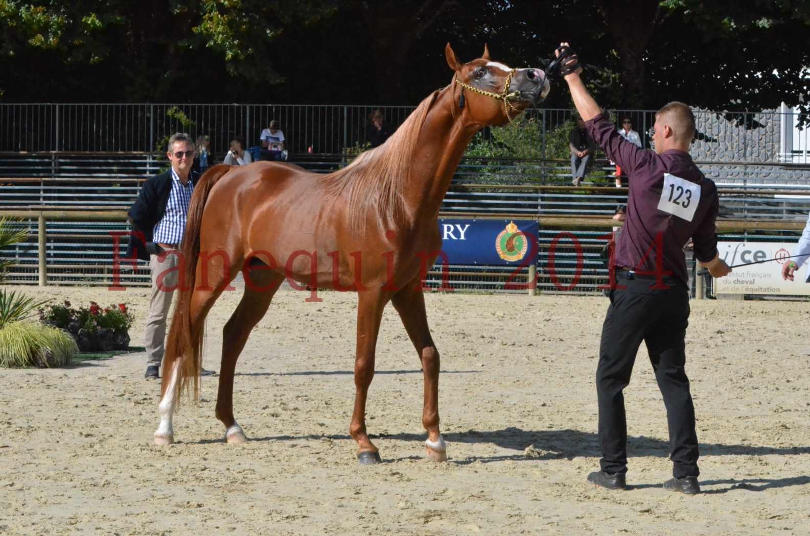 Championnat de FRANCE 2014 - Amateurs - SELECTO IBN SAMAWI - 073