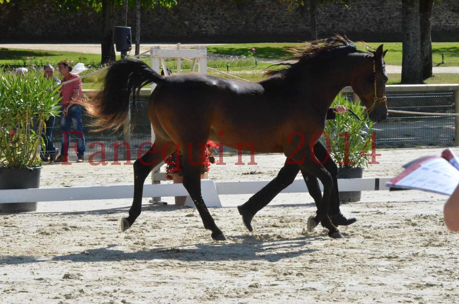 Championnat de FRANCE 2014 - Amateurs - JA KHALEB - 10