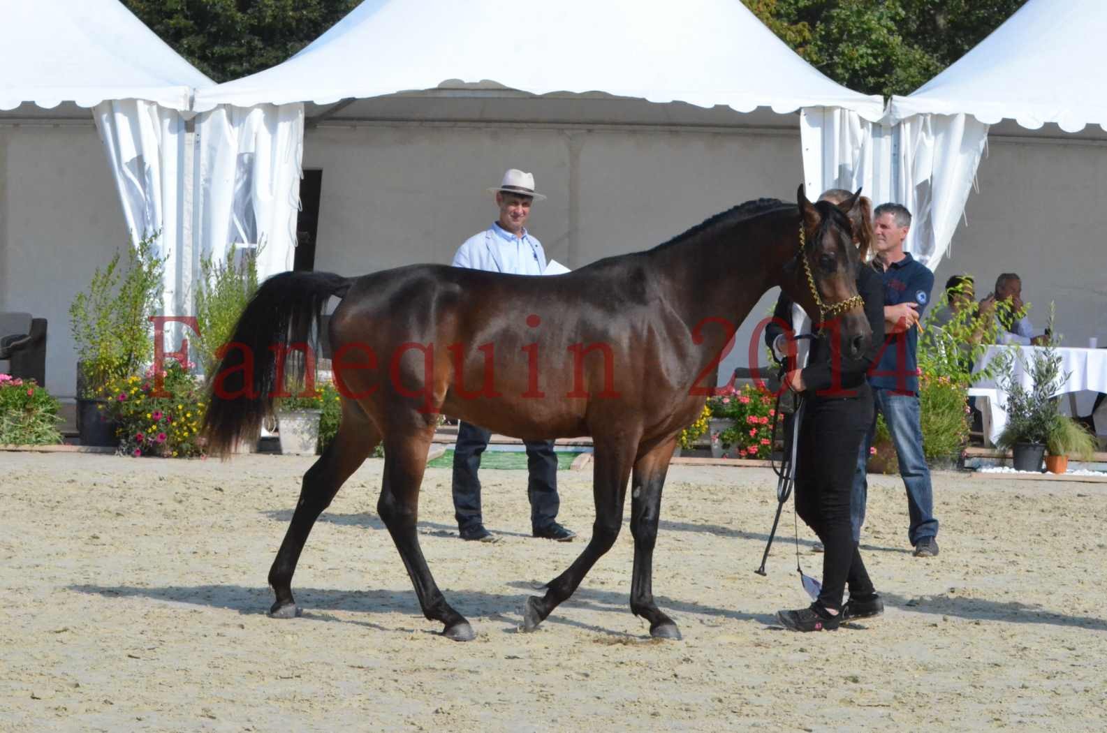 Championnat de FRANCE 2014 - Amateurs - JA KHALEB - 35