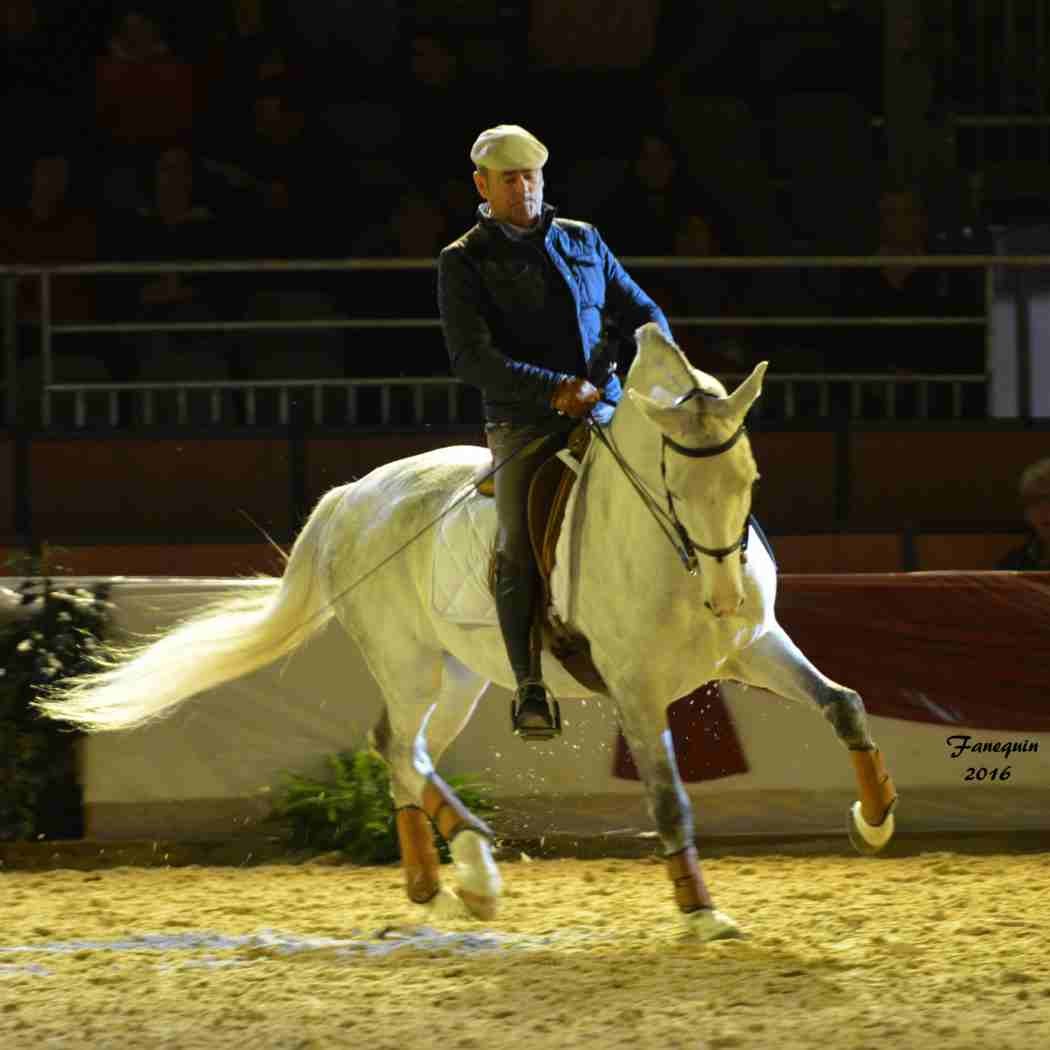 Cheval Passion 2016 - Présentation des LUSITANIENS - Ecurie de Max VENDRELL & Corinne BOUCHITTE - 22