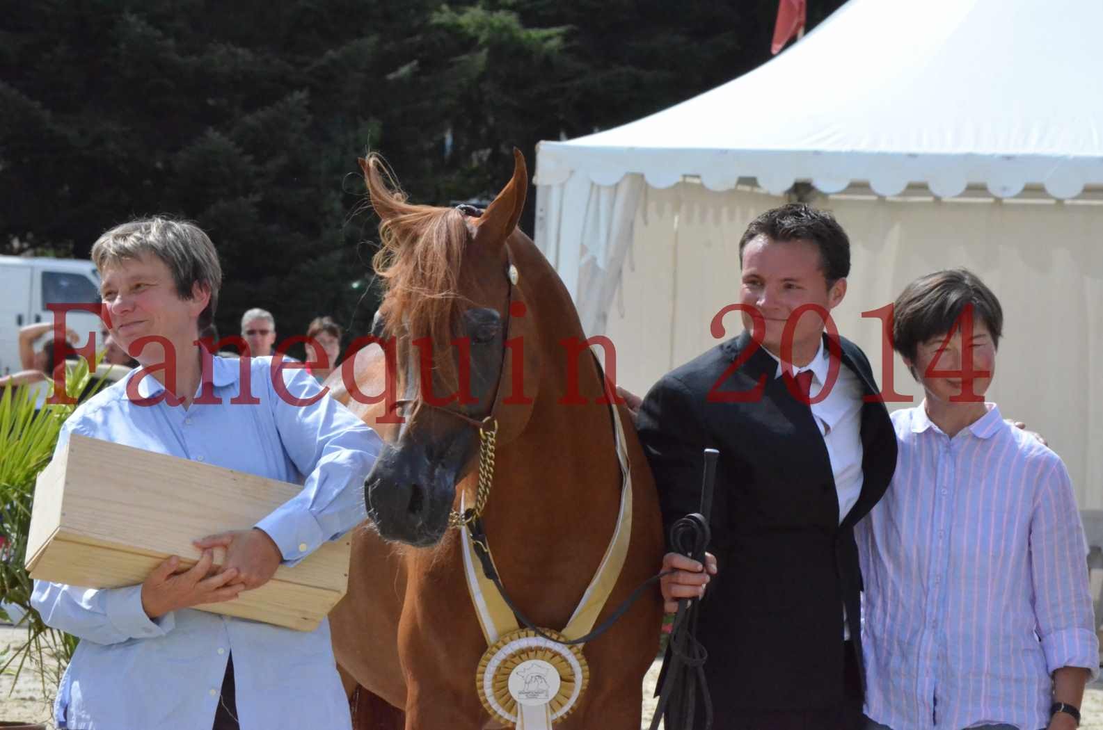 ﻿CHAMPIONNAT DE FRANCE 2014 A POMPADOUR - Championnat - KINSHASA JA - 71