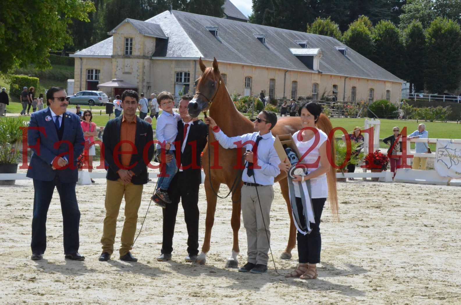 ﻿CHAMPIONNAT DE FRANCE 2014 A POMPADOUR - Championnat - LUTFINAH JA - 64