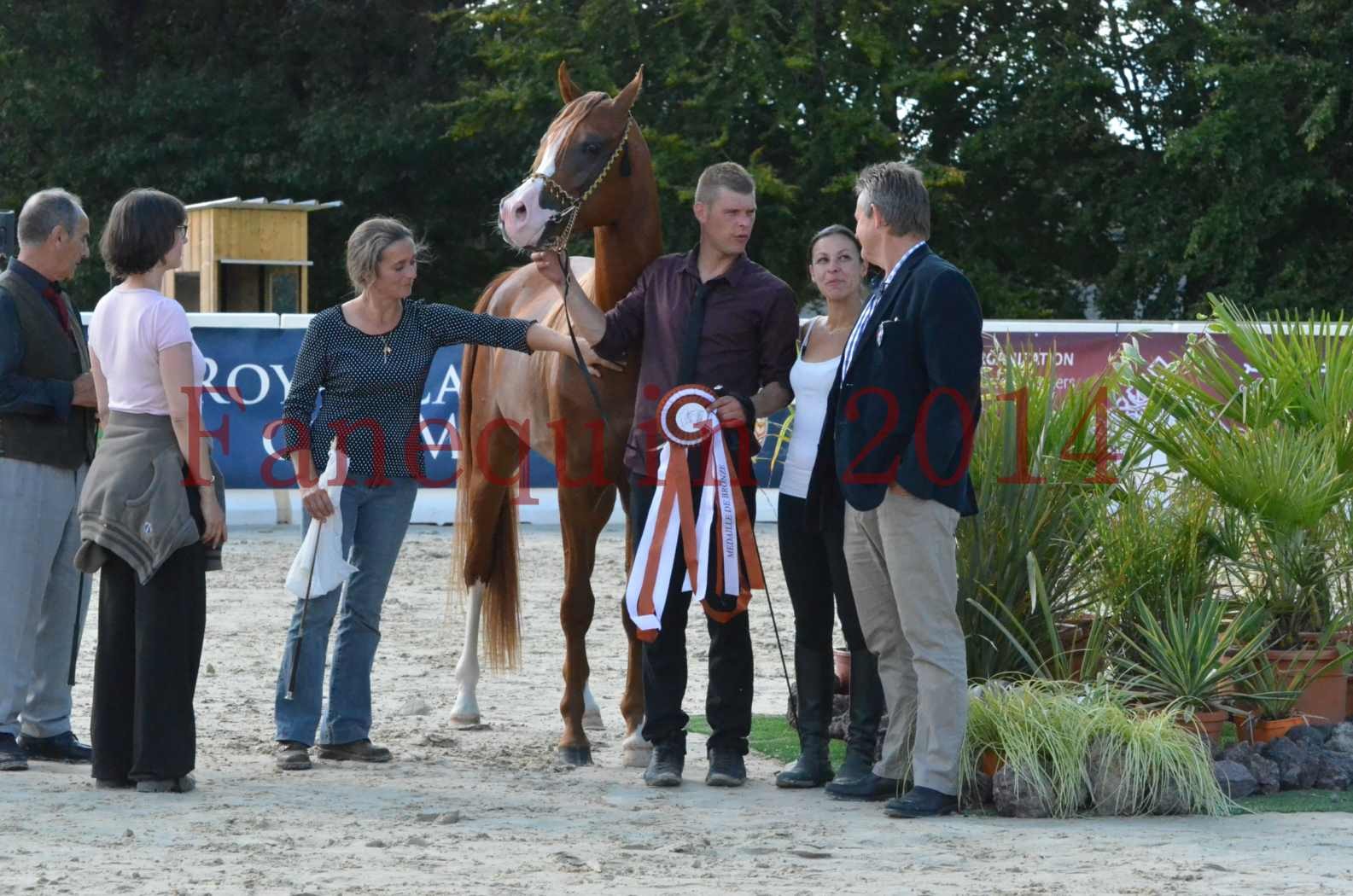 Championnat de FRANCE 2014 - Amateurs - SELECTO IBN SAMAWI - 100