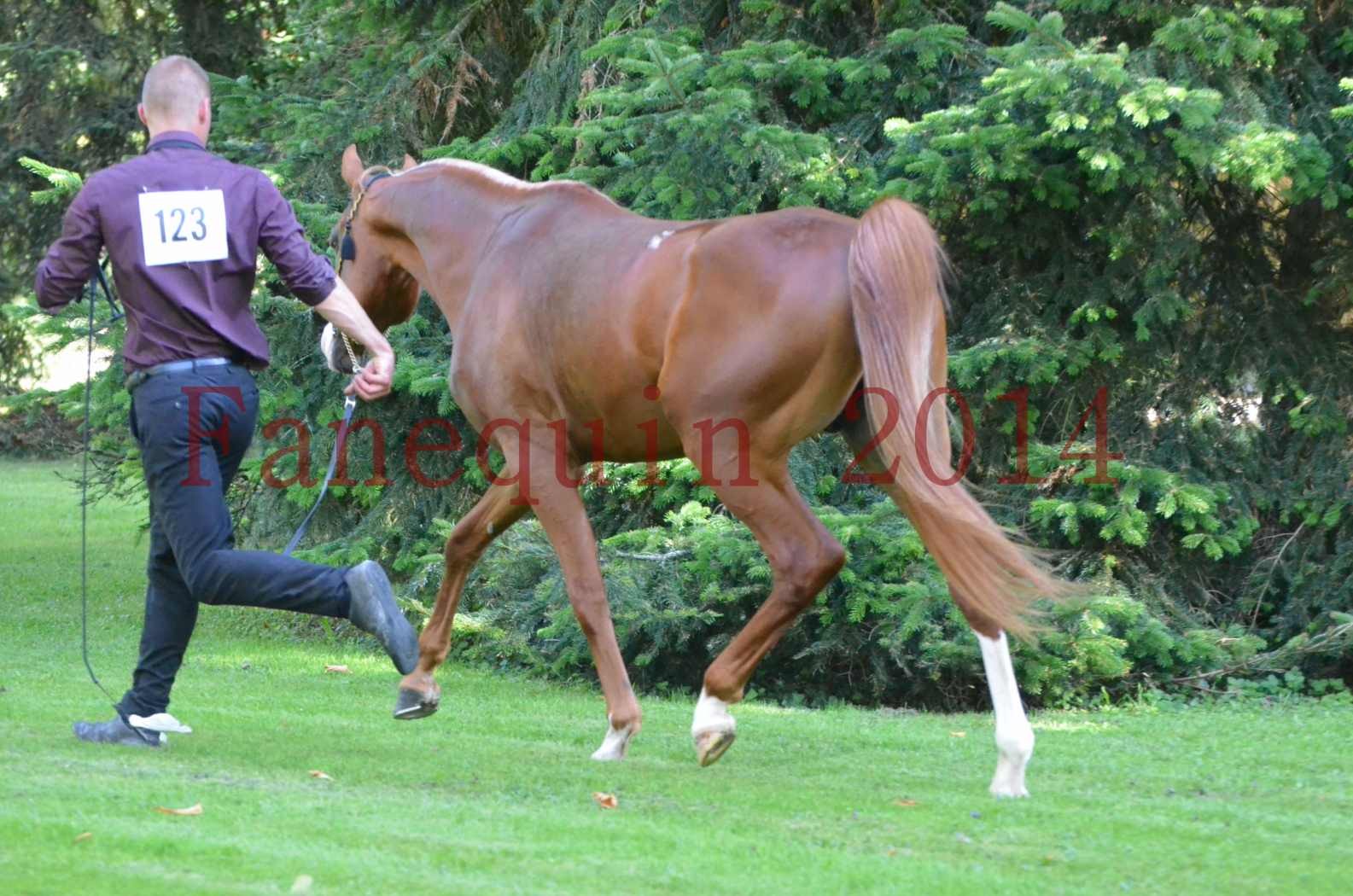 Championnat de FRANCE 2014 - Amateurs - SELECTO IBN SAMAWI - 117