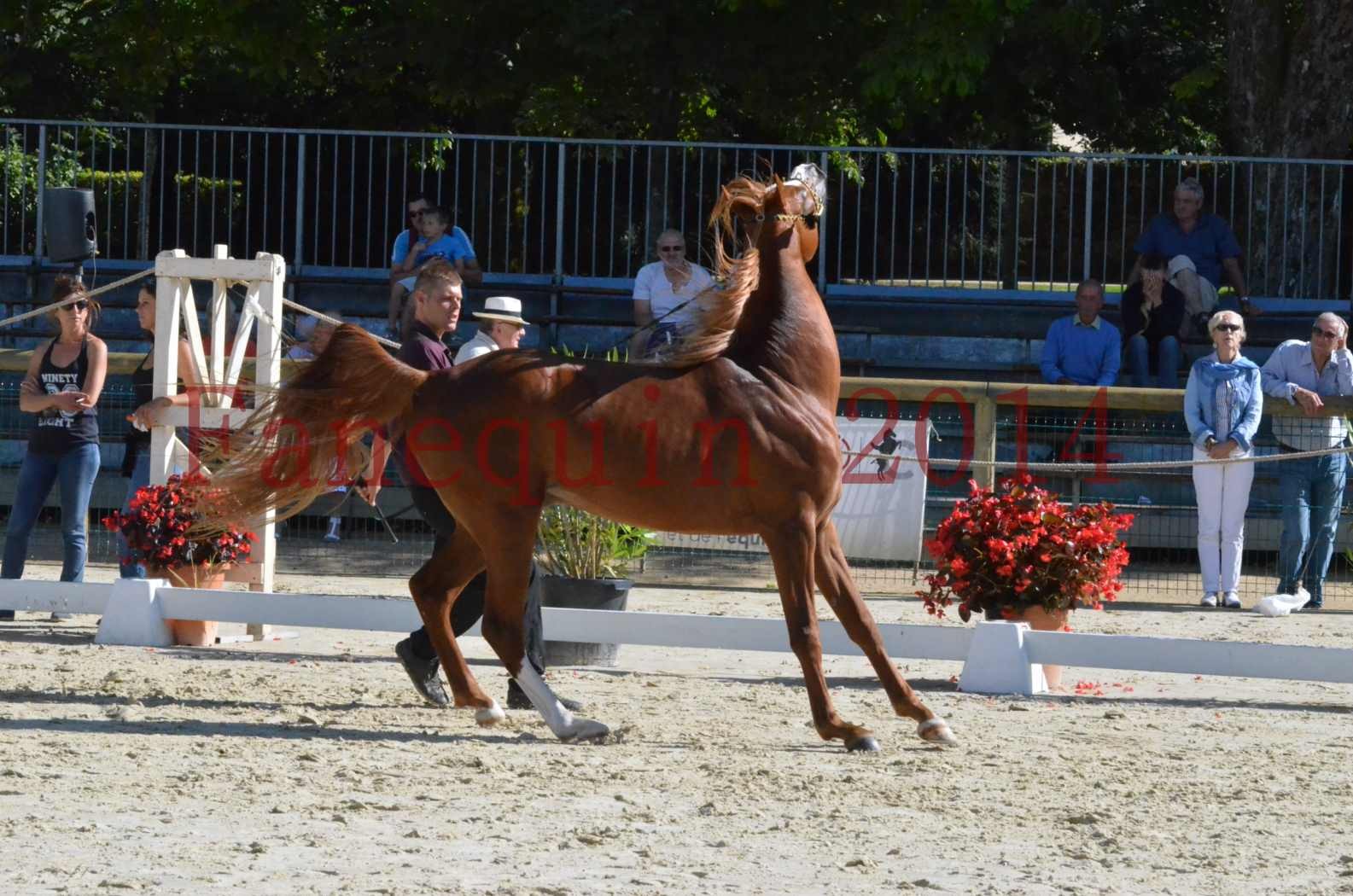 Championnat de FRANCE 2014 - Amateurs - SELECTO IBN SAMAWI - 027