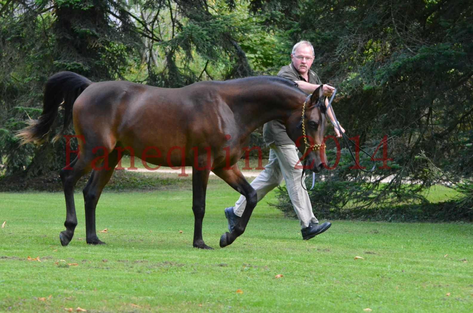 Championnat de FRANCE 2014 - Amateurs - JA KHALEB - 72