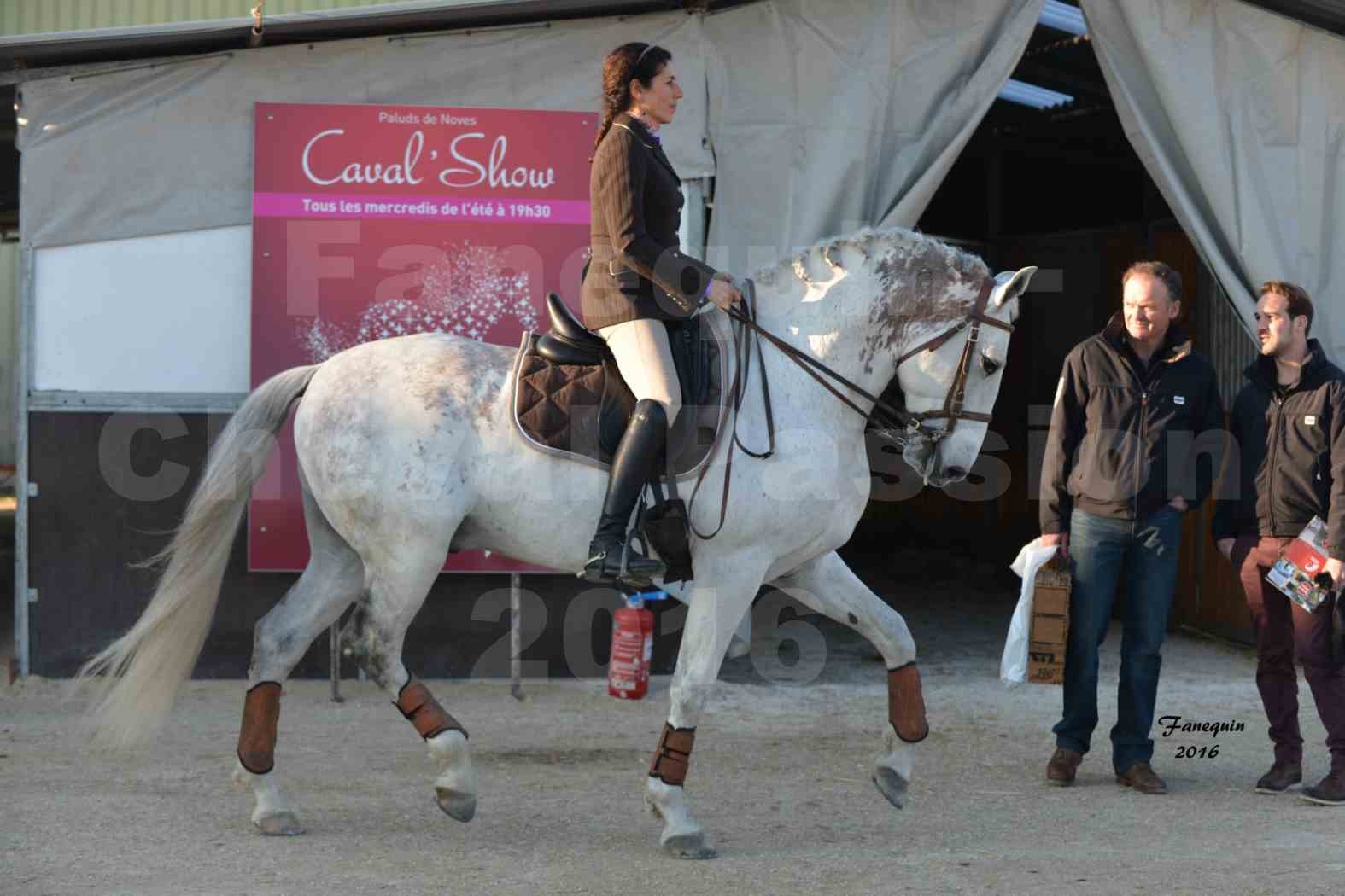 Cheval Passion 2016 - Présentation des LUSITANIENS - Échauffement extérieur -  8