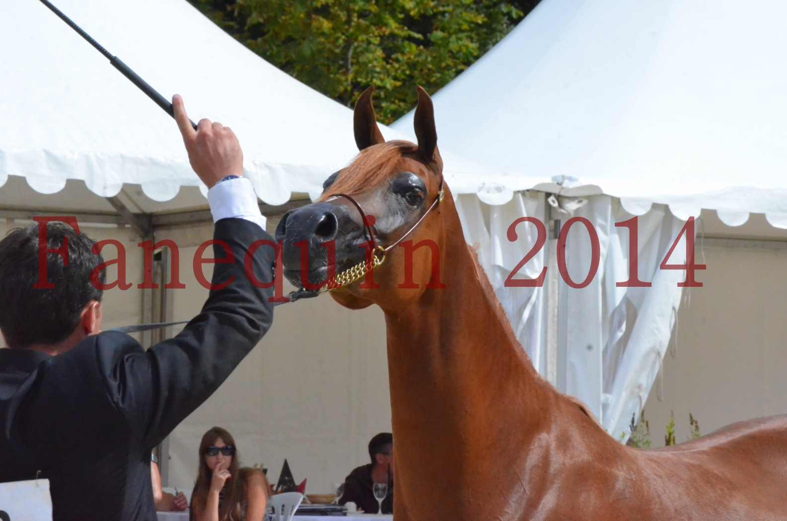 ﻿CHAMPIONNAT DE FRANCE 2014 A POMPADOUR - Championnat - KINSHASA JA - 48