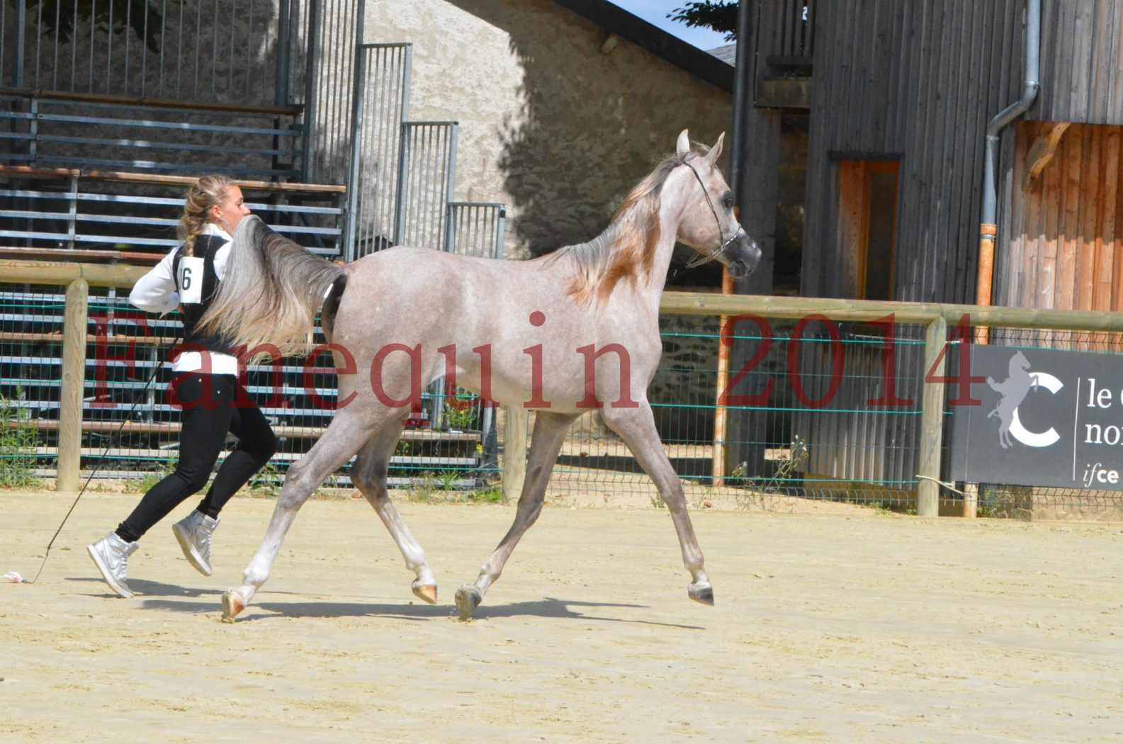 Championnat de FRANCE 2014 - Amateurs - SANA ISHANE - 33