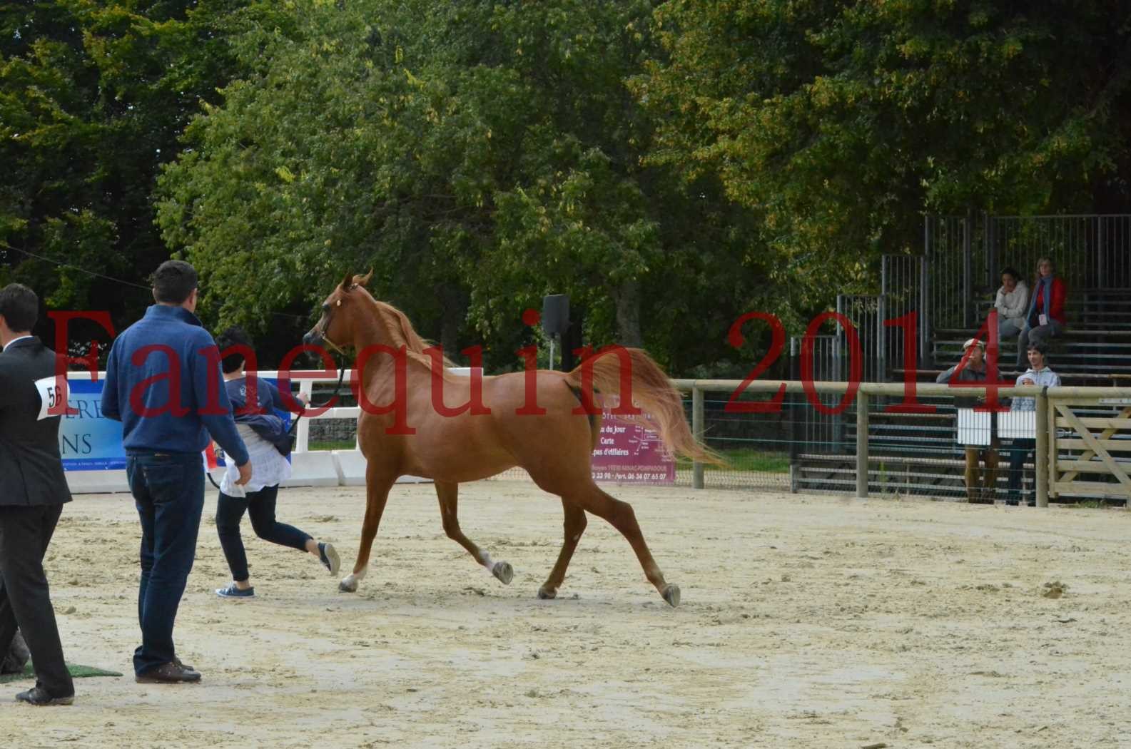 ﻿CHAMPIONNAT DE FRANCE 2014 A POMPADOUR - Sélection - LUTFINAH JA - 49