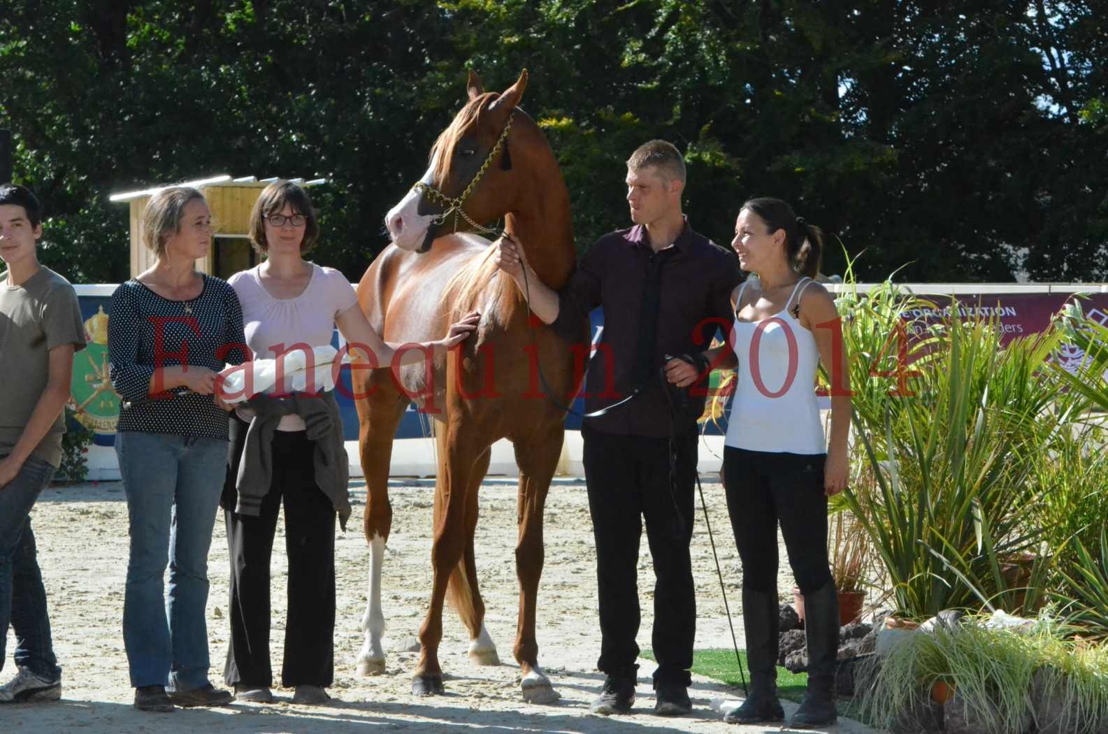 Championnat de FRANCE 2014 - Amateurs - SELECTO IBN SAMAWI - 091