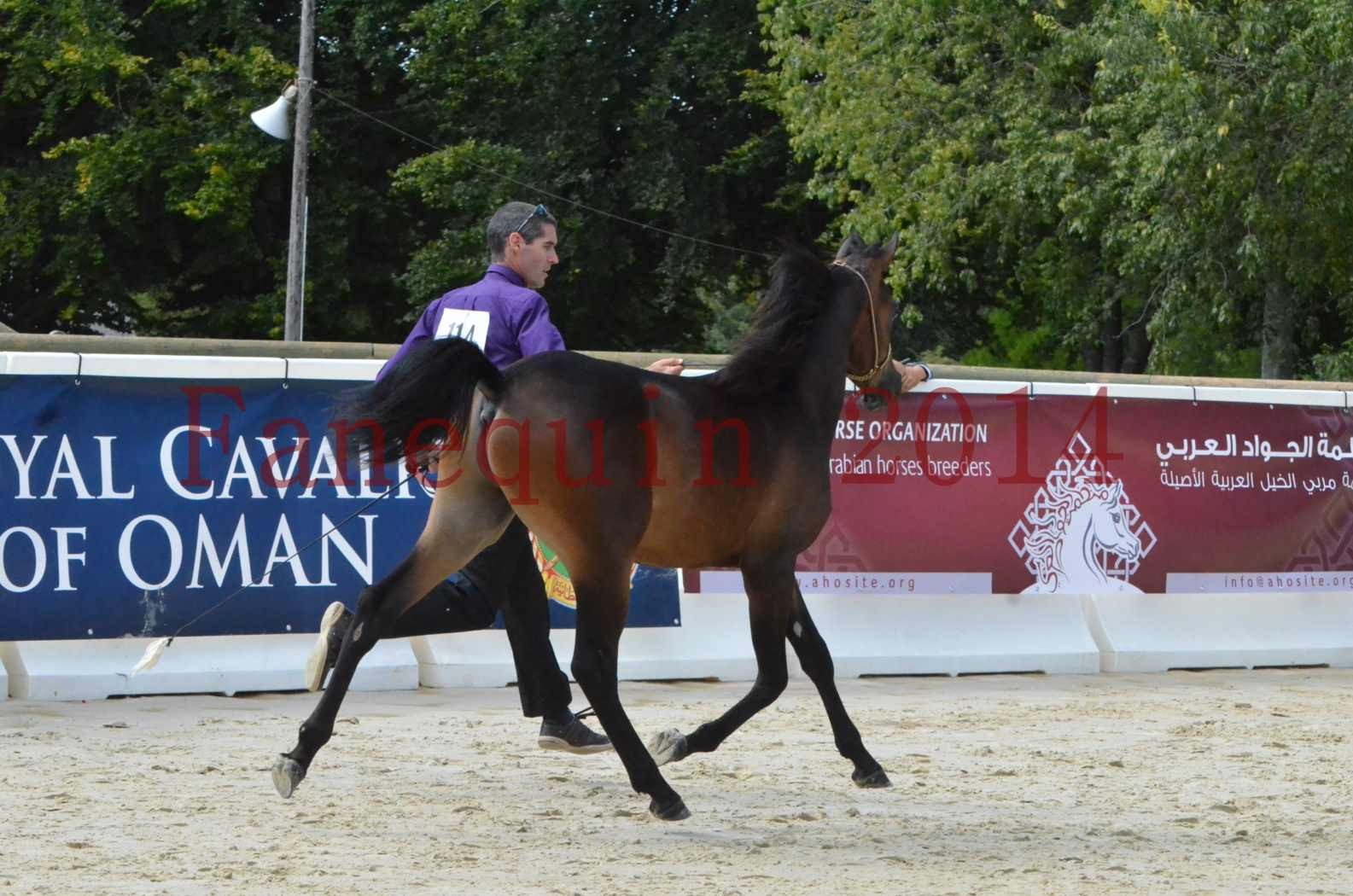 Championnat de FRANCE 2014 - Amateurs - SH FARAJAA - 21