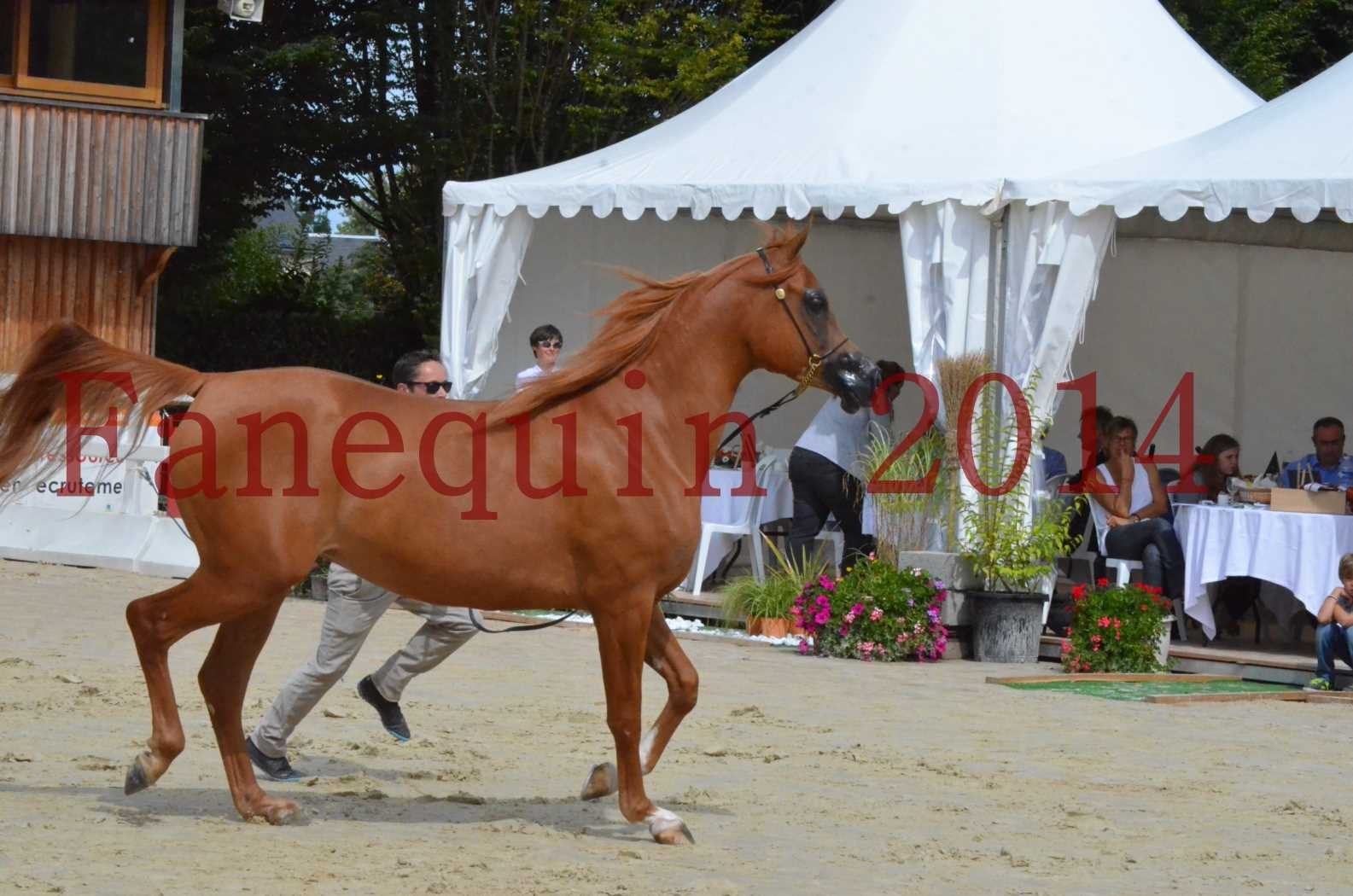 ﻿CHAMPIONNAT DE FRANCE 2014 A POMPADOUR - Championnat - LUTFINAH JA - 30