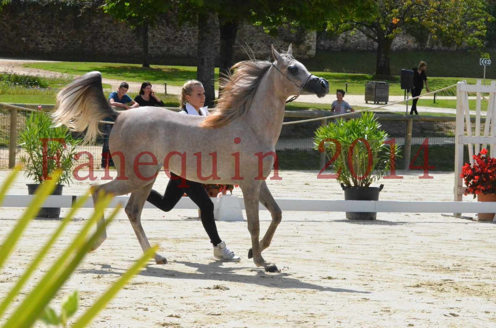 Championnat de FRANCE 2014 - Amateurs - SANA ISHANE - 11