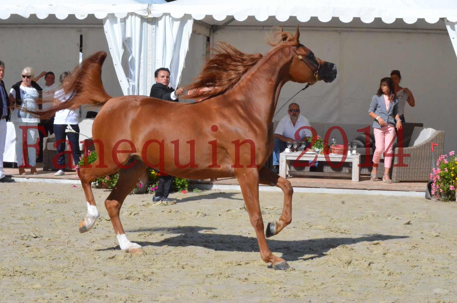 ﻿CHAMPIONNAT DE FRANCE 2014 A POMPADOUR - Sélection - KINSHASA JA - 17