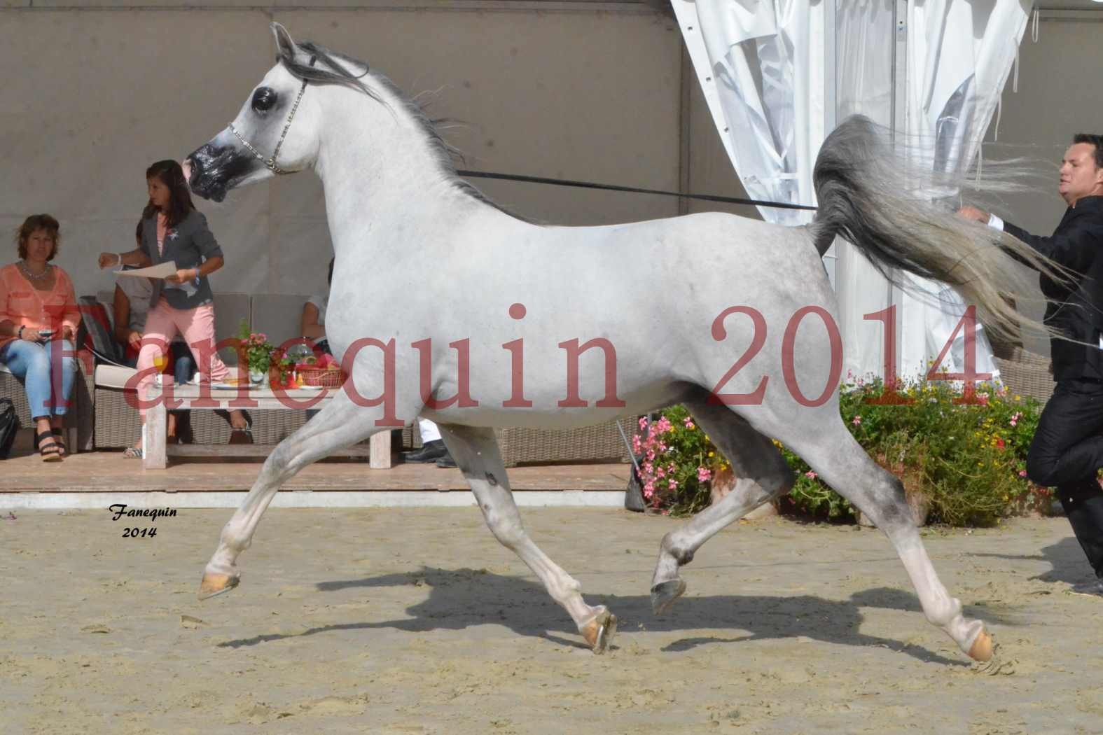 CHAMPIONNAT DE FRANCE  2014 A POMPADOUR - Notre Sélection - SHAOLIN DE NEDJAIA - 09