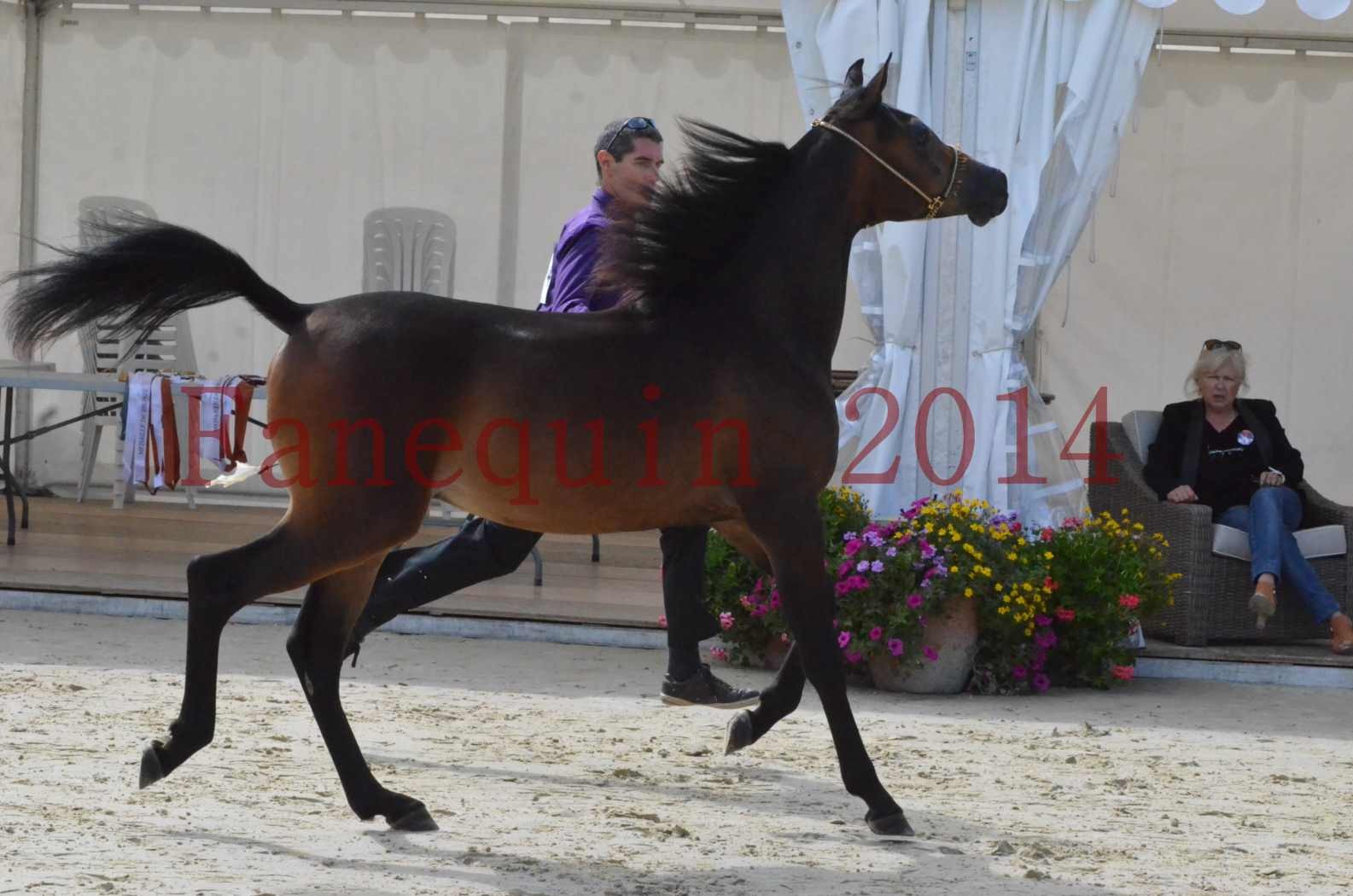 Championnat de FRANCE 2014 - Amateurs - SH FARAJAA - 03