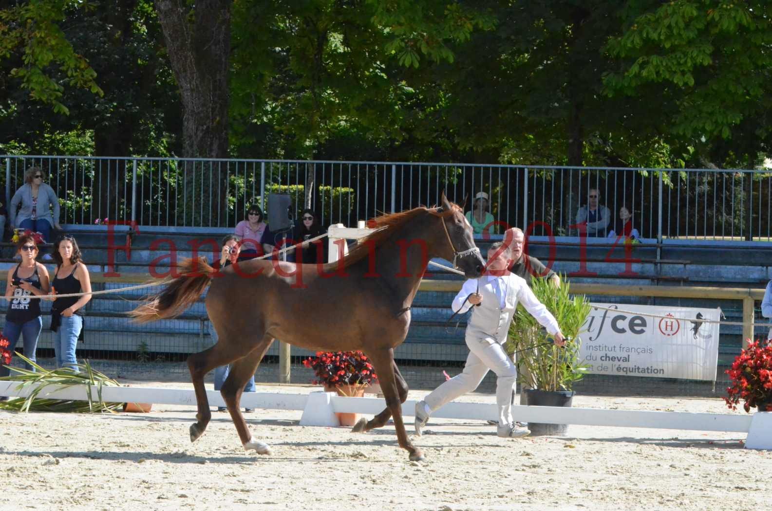 Championnat de FRANCE 2014 - Amateurs - LAMAL - 02