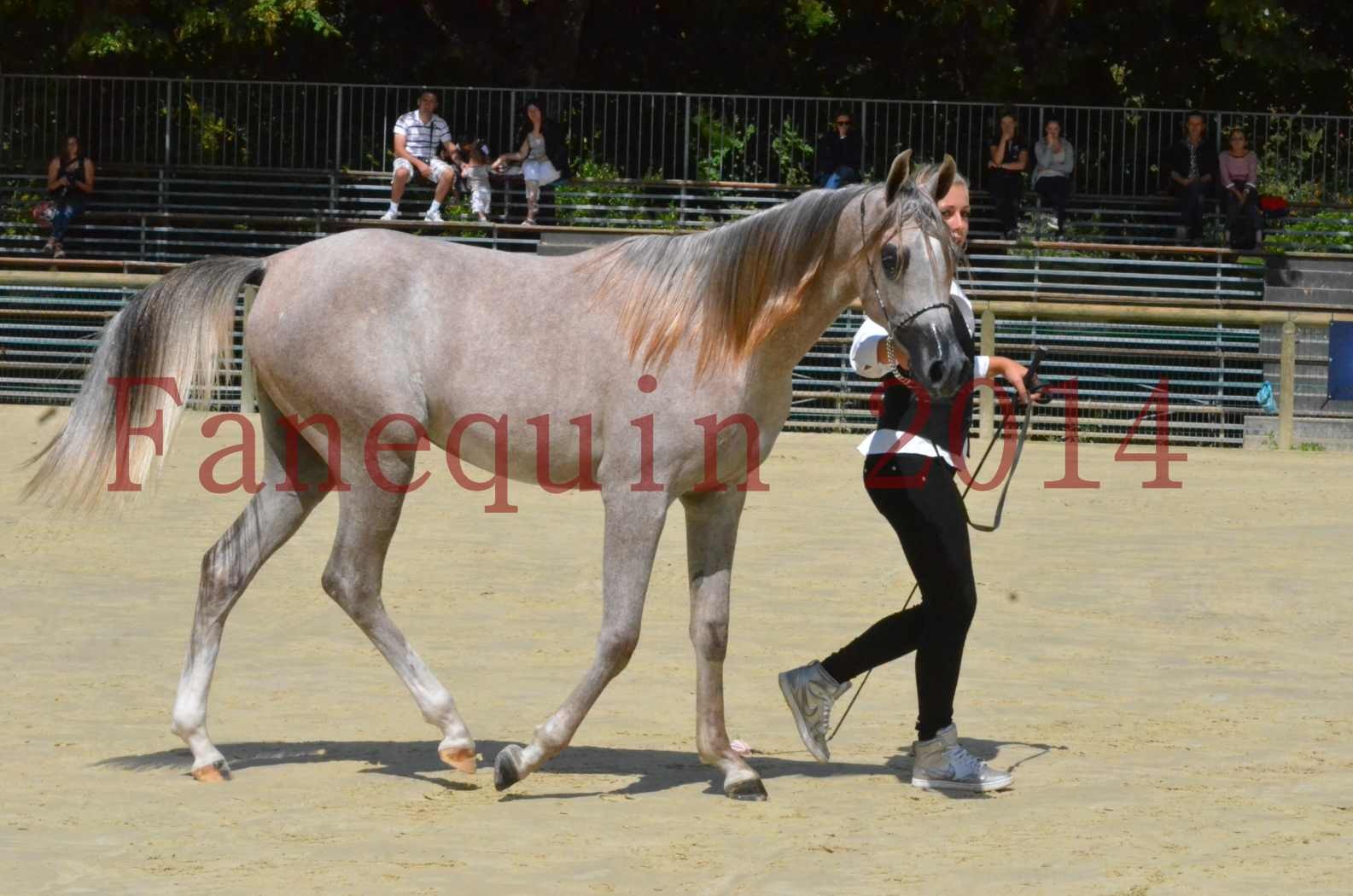 Championnat de FRANCE 2014 - Amateurs - SANA ISHANE - 50