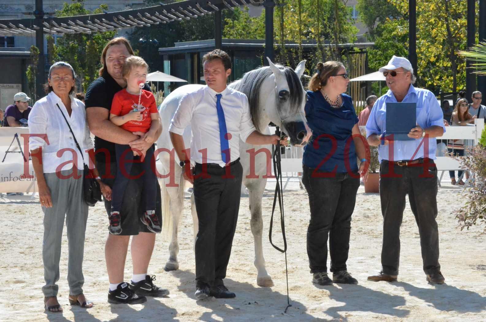 Concours National de Nîmes de chevaux ARABES 2014 - Sélection - SHAOLIN DE NEDJAIA - 90