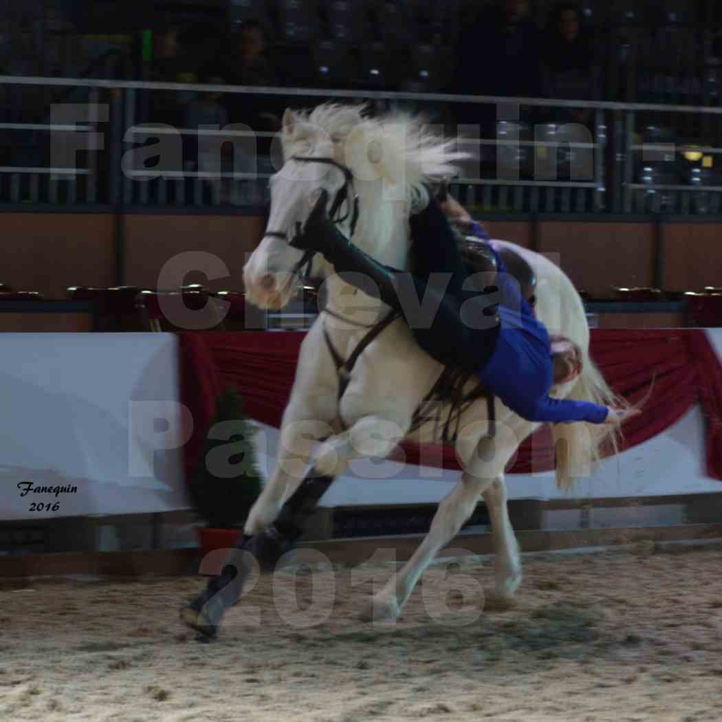 Cheval Passion 2016 - CAMARGUE voltigeurs - 8