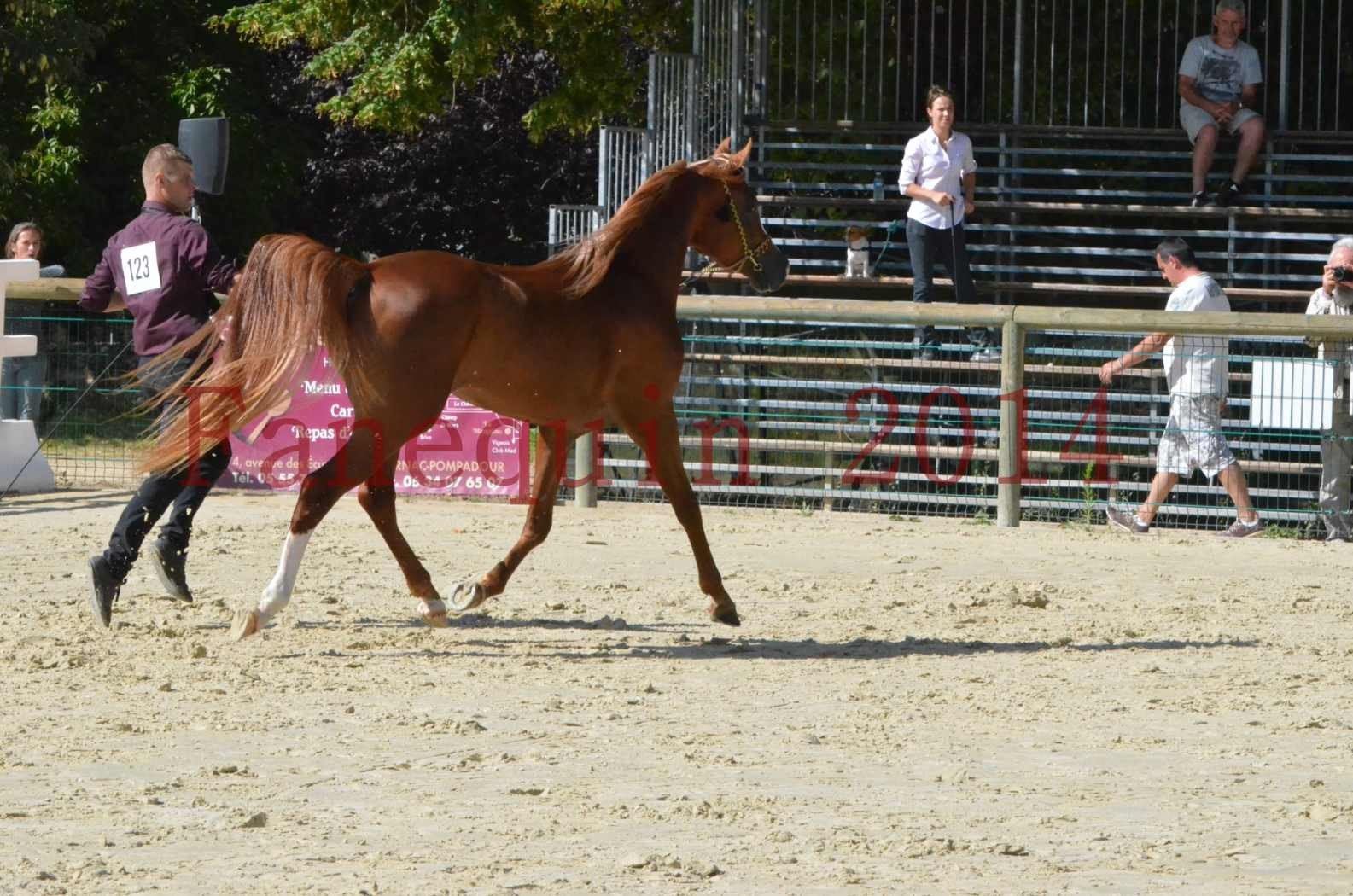 Championnat de FRANCE 2014 - Amateurs - SELECTO IBN SAMAWI - 018