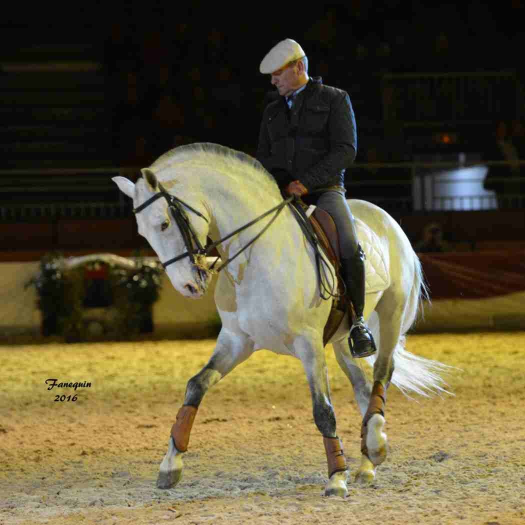 Cheval Passion 2016 - Présentation des LUSITANIENS - Ecurie de Max VENDRELL & Corinne BOUCHITTE - 37