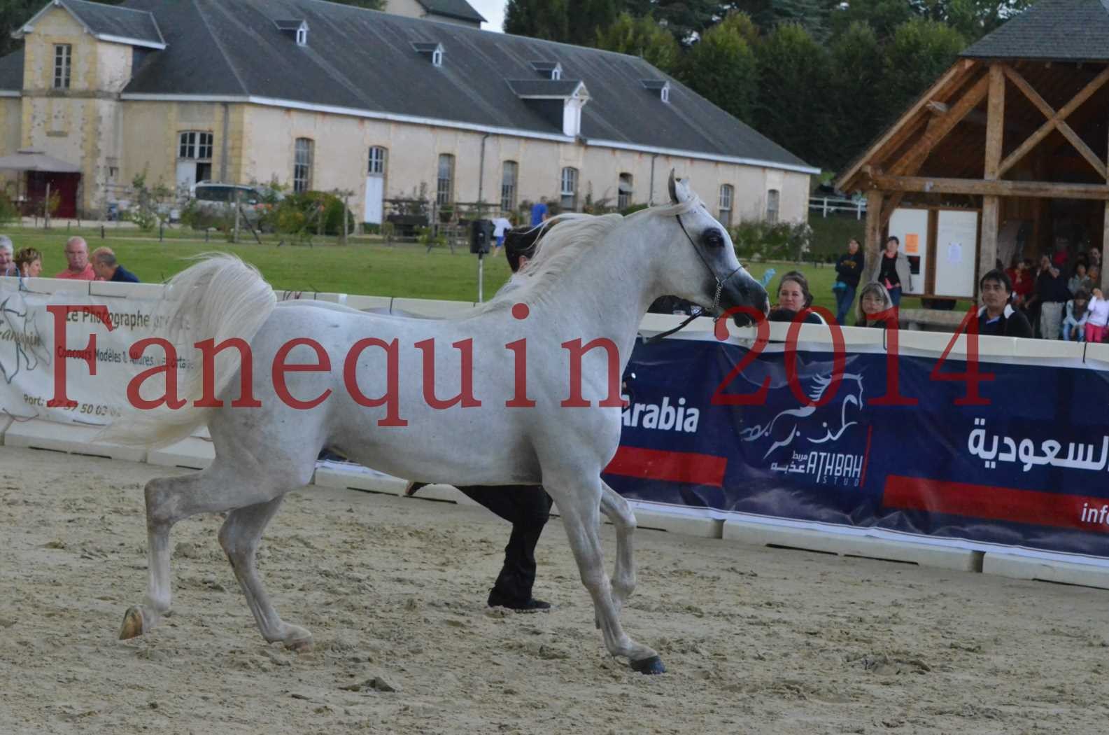 CHAMPIONNAT DE FRANCE 2014 A POMPADOUR - Sélection - FA STARLIGHT - 09