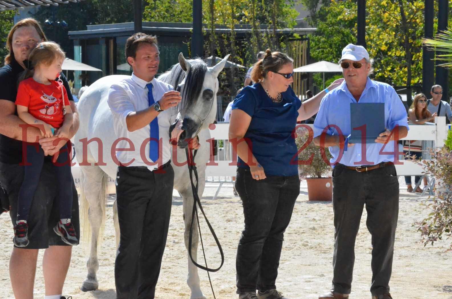 Concours National de Nîmes de chevaux ARABES 2014 - Sélection - SHAOLIN DE NEDJAIA - 89