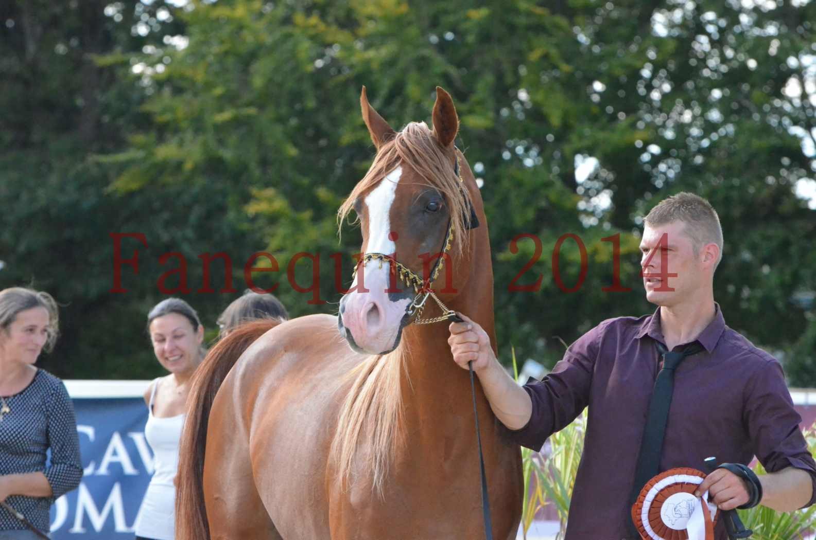 Championnat de FRANCE 2014 - Amateurs - SELECTO IBN SAMAWI - 101