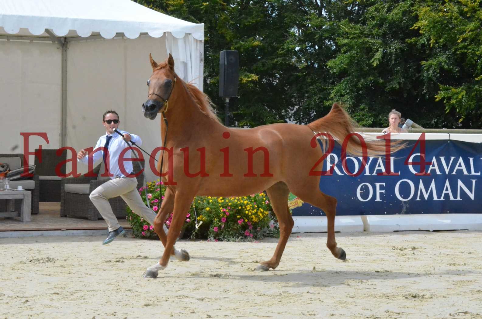 ﻿CHAMPIONNAT DE FRANCE 2014 A POMPADOUR - Championnat - LUTFINAH JA - 20