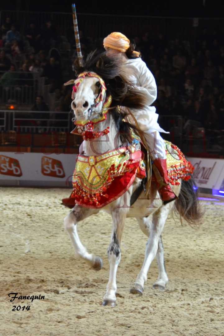 Show des races - Chevaux BARBE 36